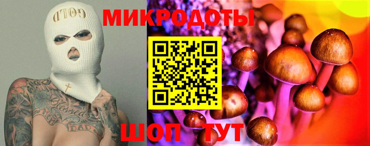 Псилоцибиновые грибы ЛСД  Вход с VPN  Псилоцибиновые грибы Psilocybe  Самара 